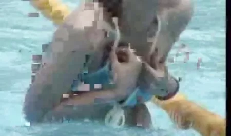 분위기 포르노 롤
