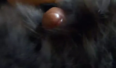 Clay 여우를 얻을 못을 박았 르 한국어 동영상 무료