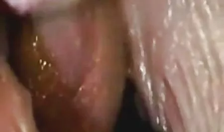 개 02 동영상 무료 르 뉴올리언스,전 세계 무역 조직